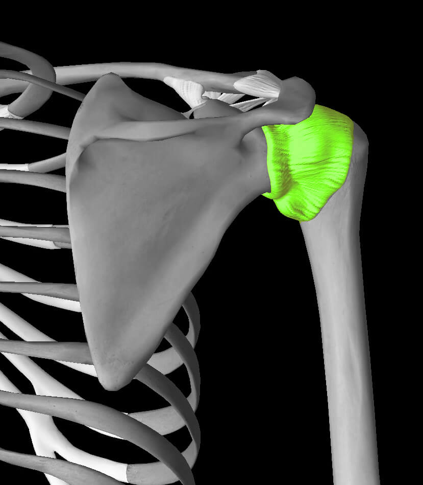 Capsulite épaule douleur capsulite rétractile traitement symptomes anatomie arret de travail kiné à paris