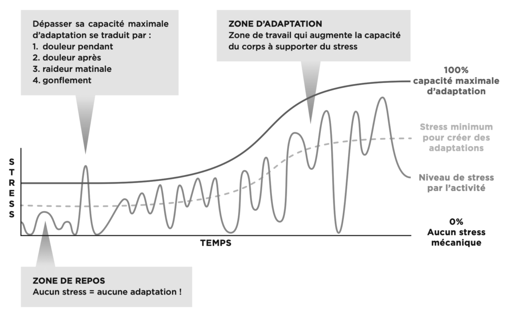 quantification du stress mécanique explication graphique évaluation des contraintes externes
