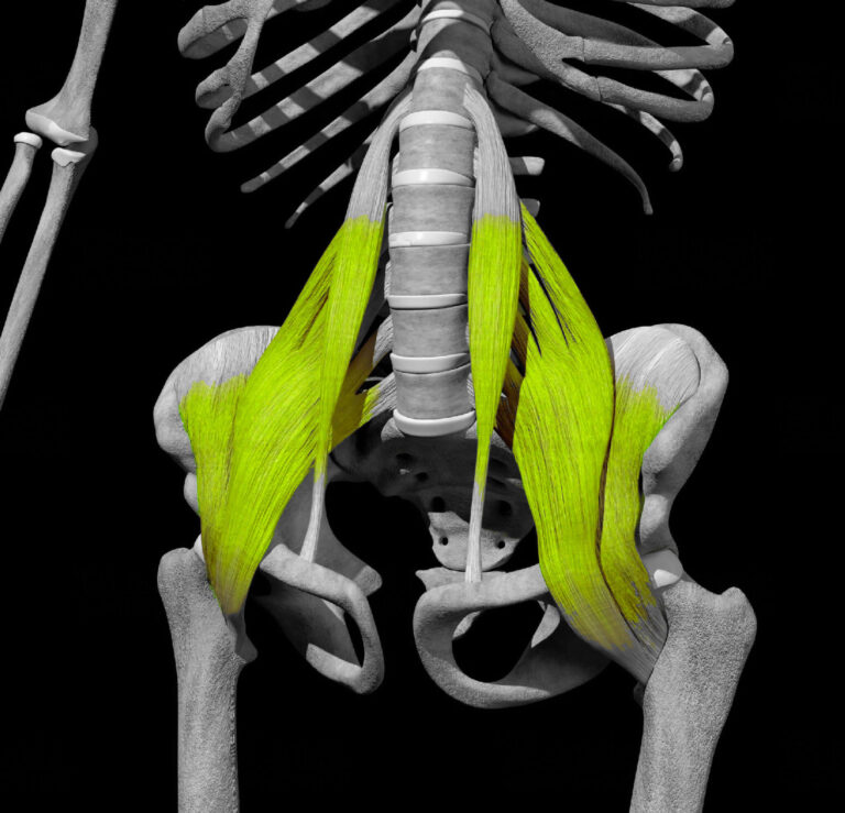 muscle psoas douloureux - traitement kiné à Paris CAREA
