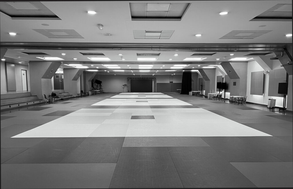 cabinet-kiné-du-sport-Paris-14-institut-du-judo-carea